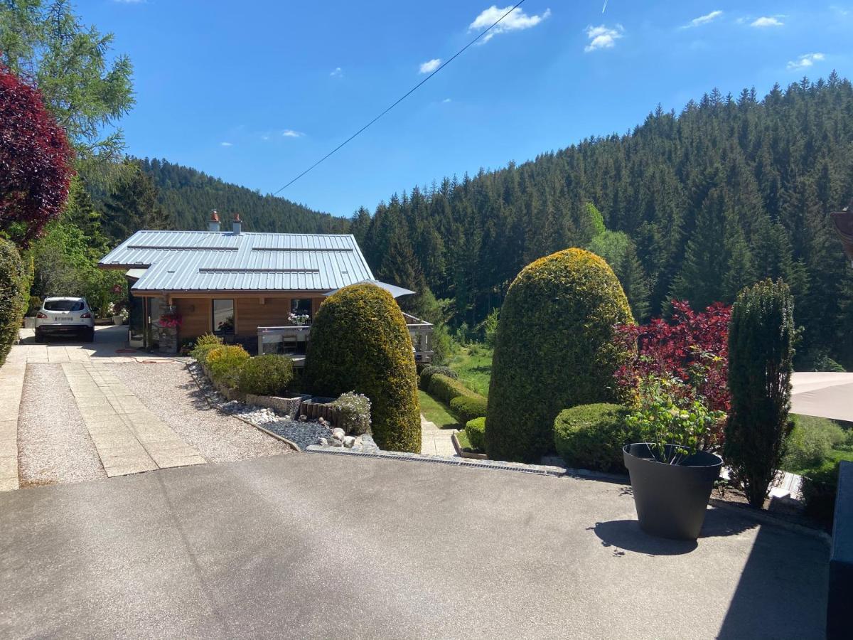 זונרופט-לונז'מר Appartement De Montagne Au Chalet De Snow מראה חיצוני תמונה