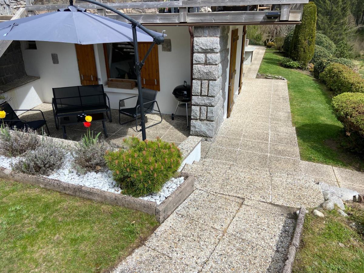 זונרופט-לונז'מר Appartement De Montagne Au Chalet De Snow מראה חיצוני תמונה